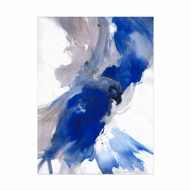 AiglerRoyal1Mercantour56x76-aquarelle AiglerRoyal1Mercantour56x76 aquarelle