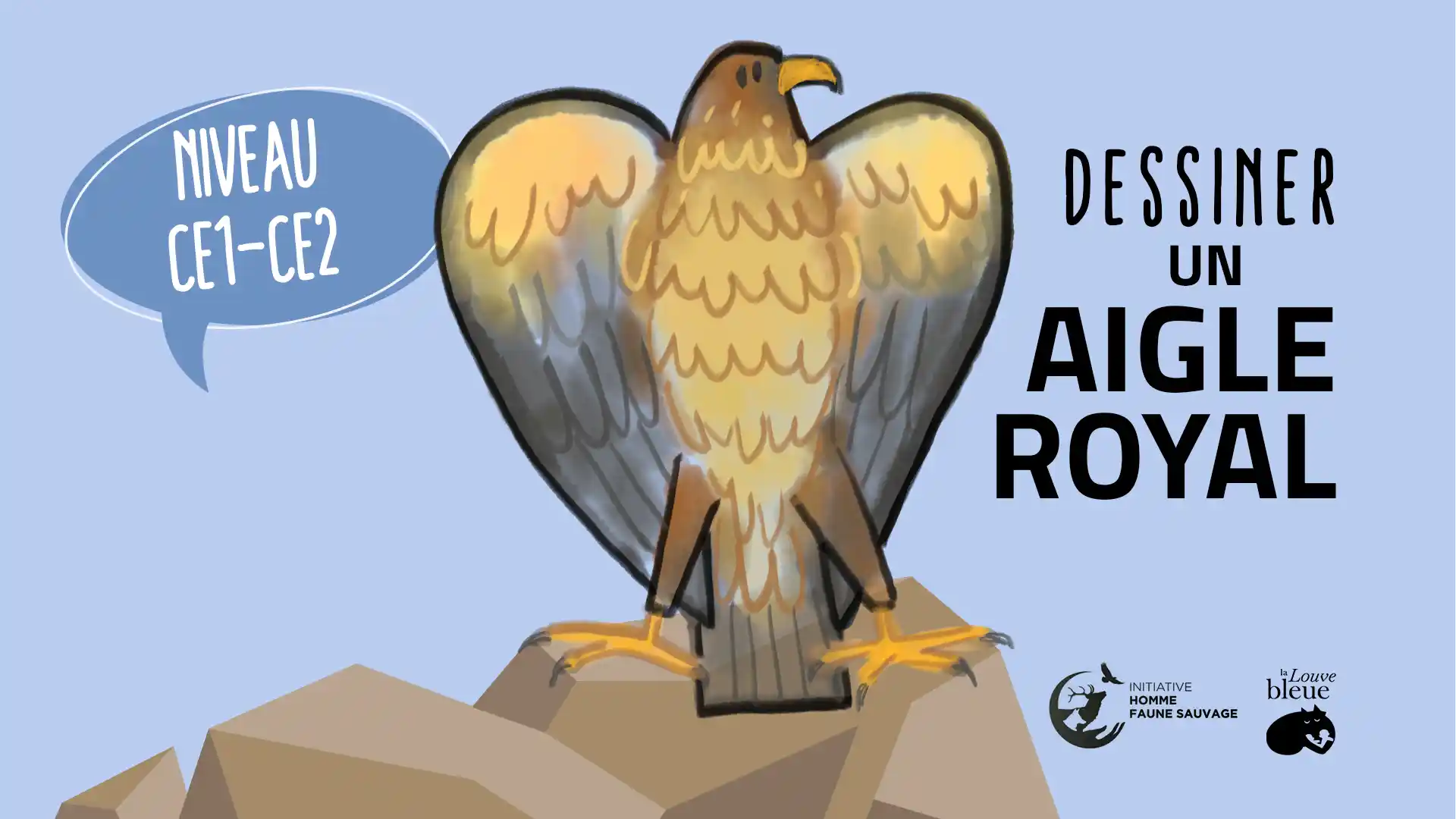 dessin enfant aigle royal debout